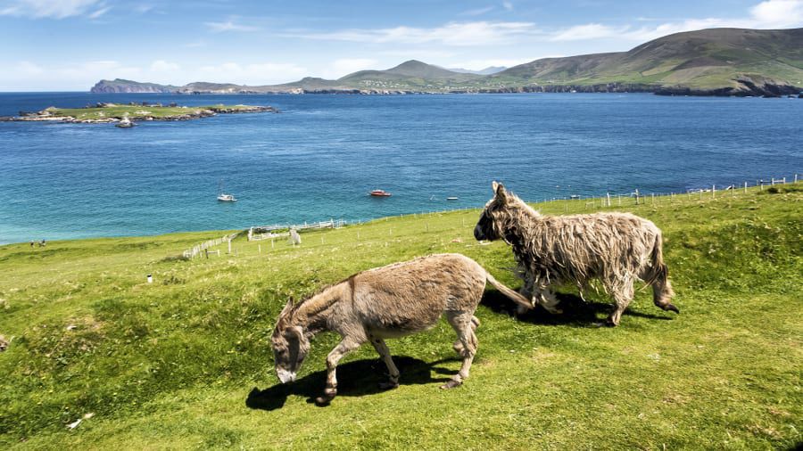 Great Blasket Island